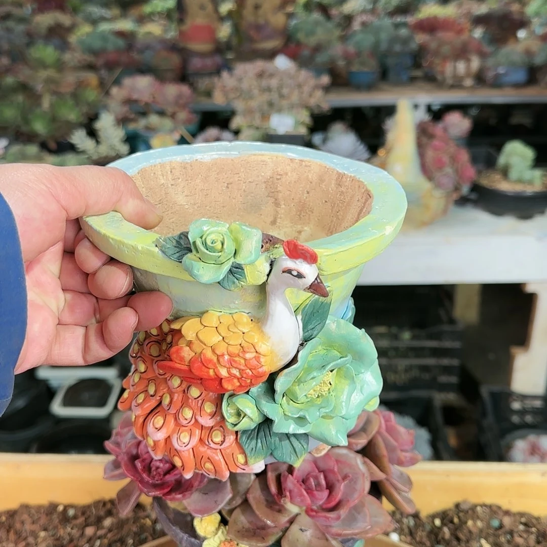 鑫*鑫亿。盆2个296       盆