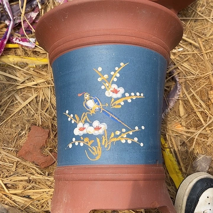 字典里懒安花盆兰花盆