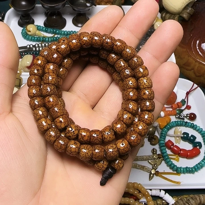 一条11112222尔甲