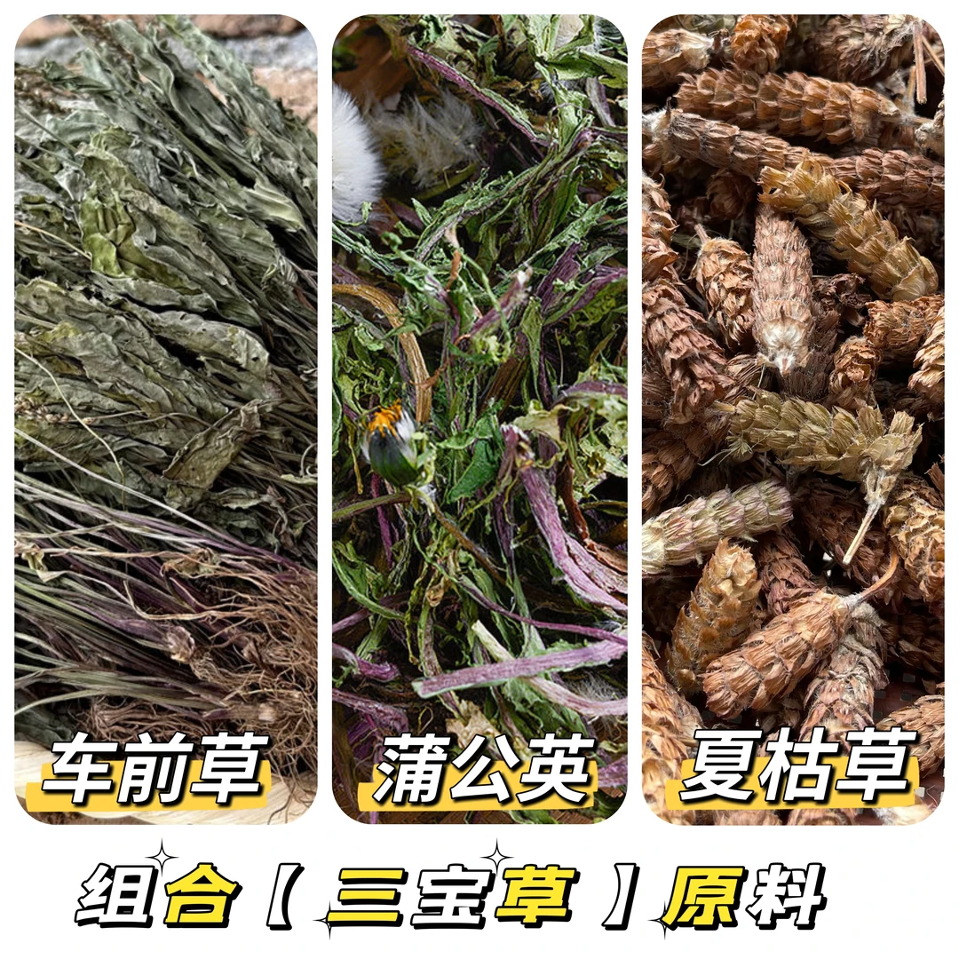 （三宝草原料）蒲公英 车前草 夏枯草 花草茶原料