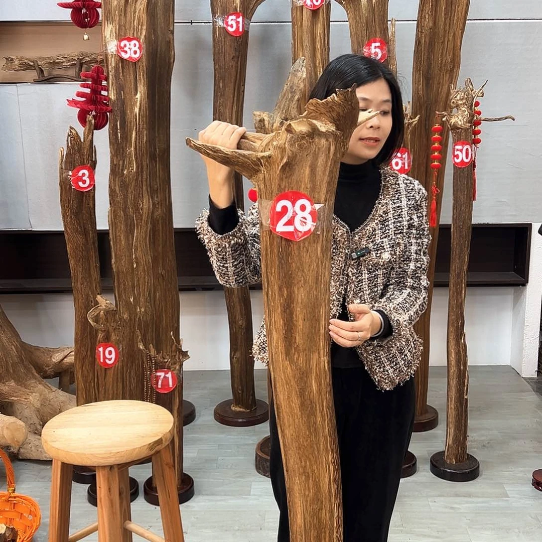 沉香摆件祥*.沉香摆件