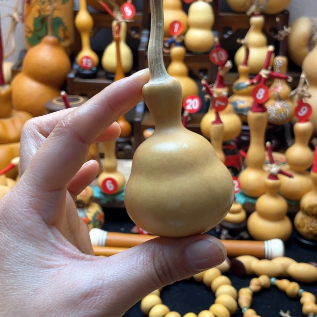 子*啊大自然的秘密是什么呢我的小