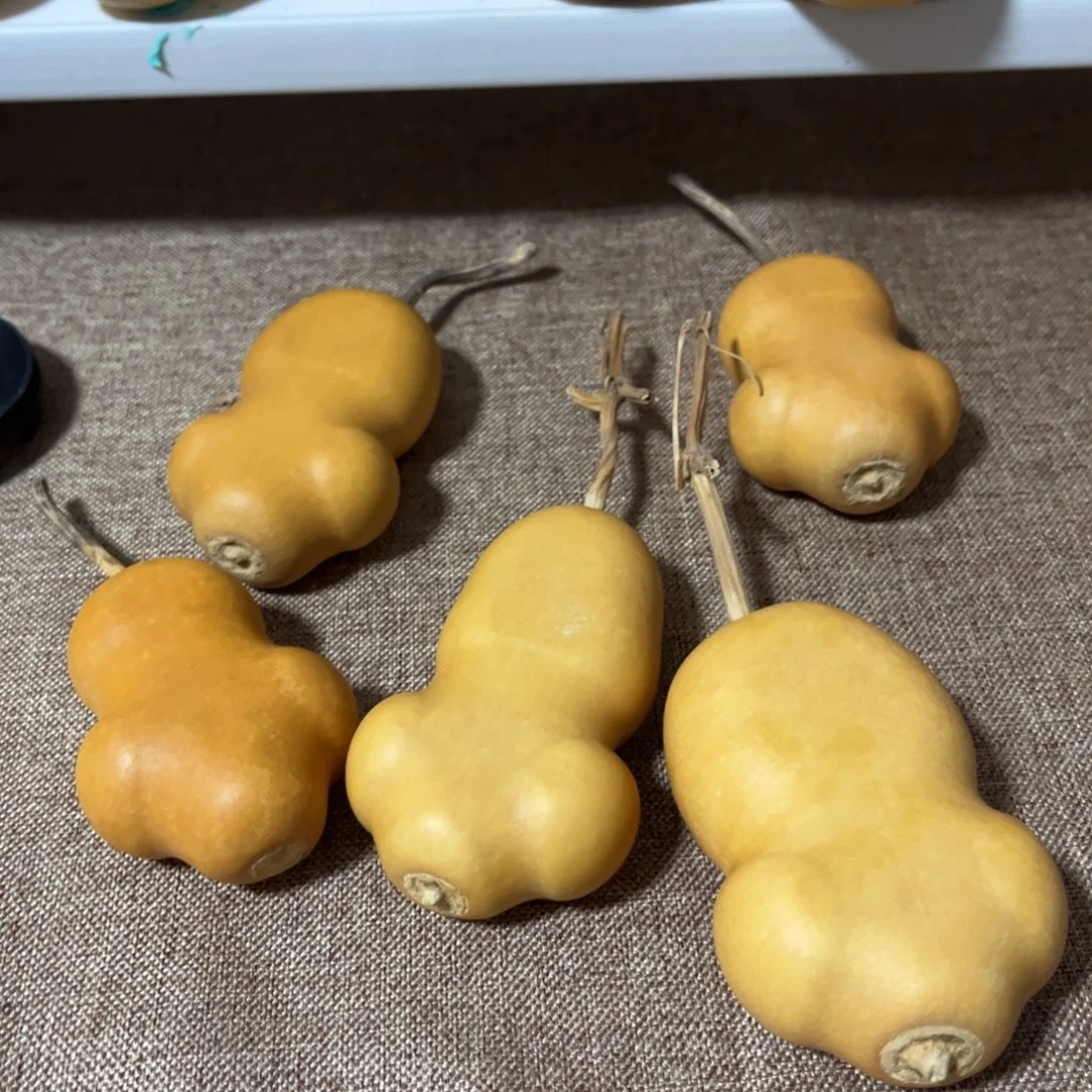 *****大叶紫檀（黑酸枝木类）