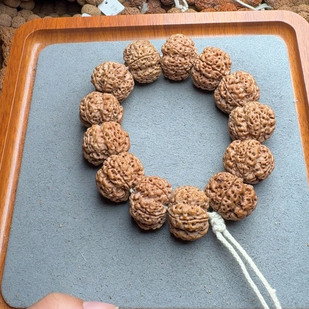 菩提菩提20号尼泊尔大金刚25粗筋双龙