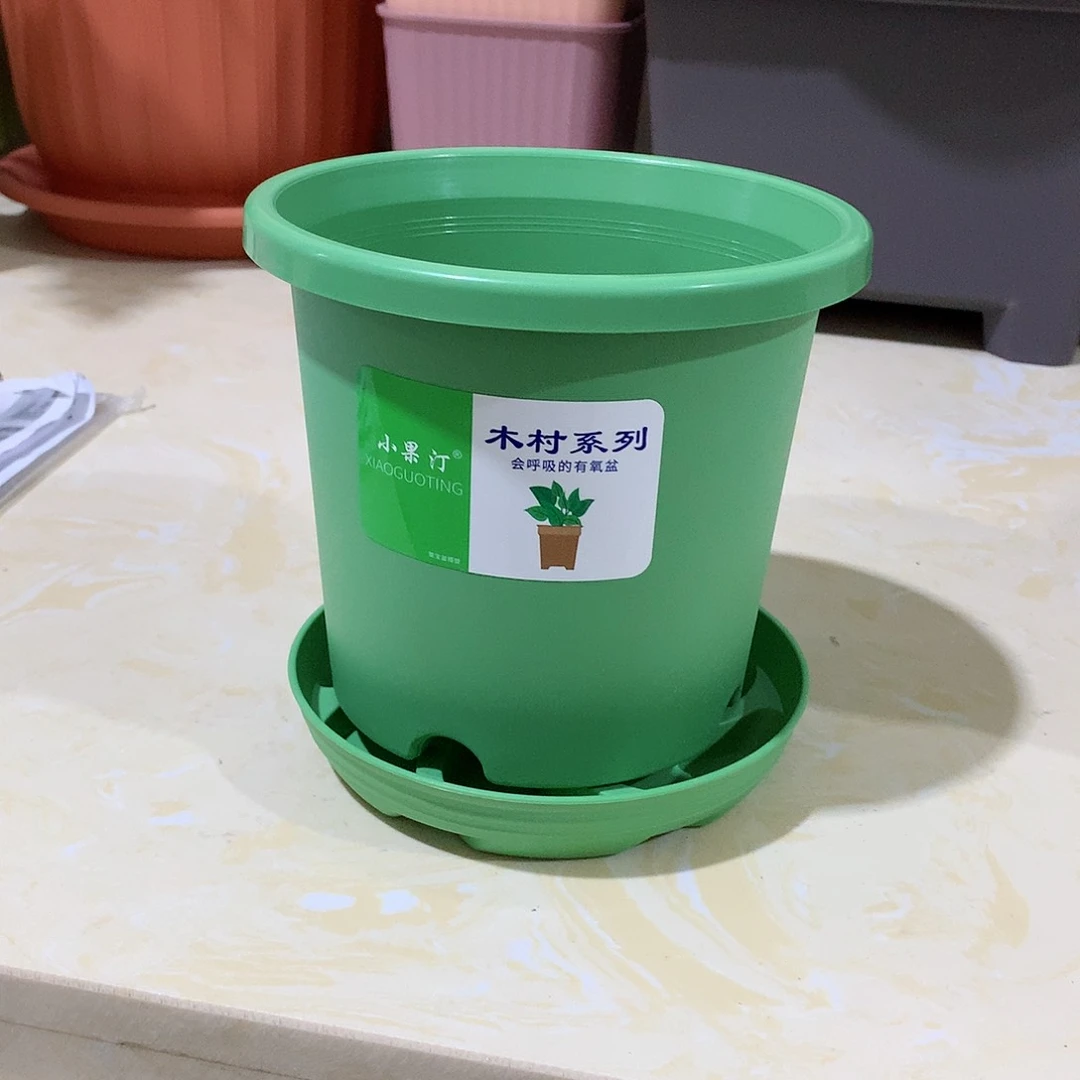 树脂四季口15果绿10个带托