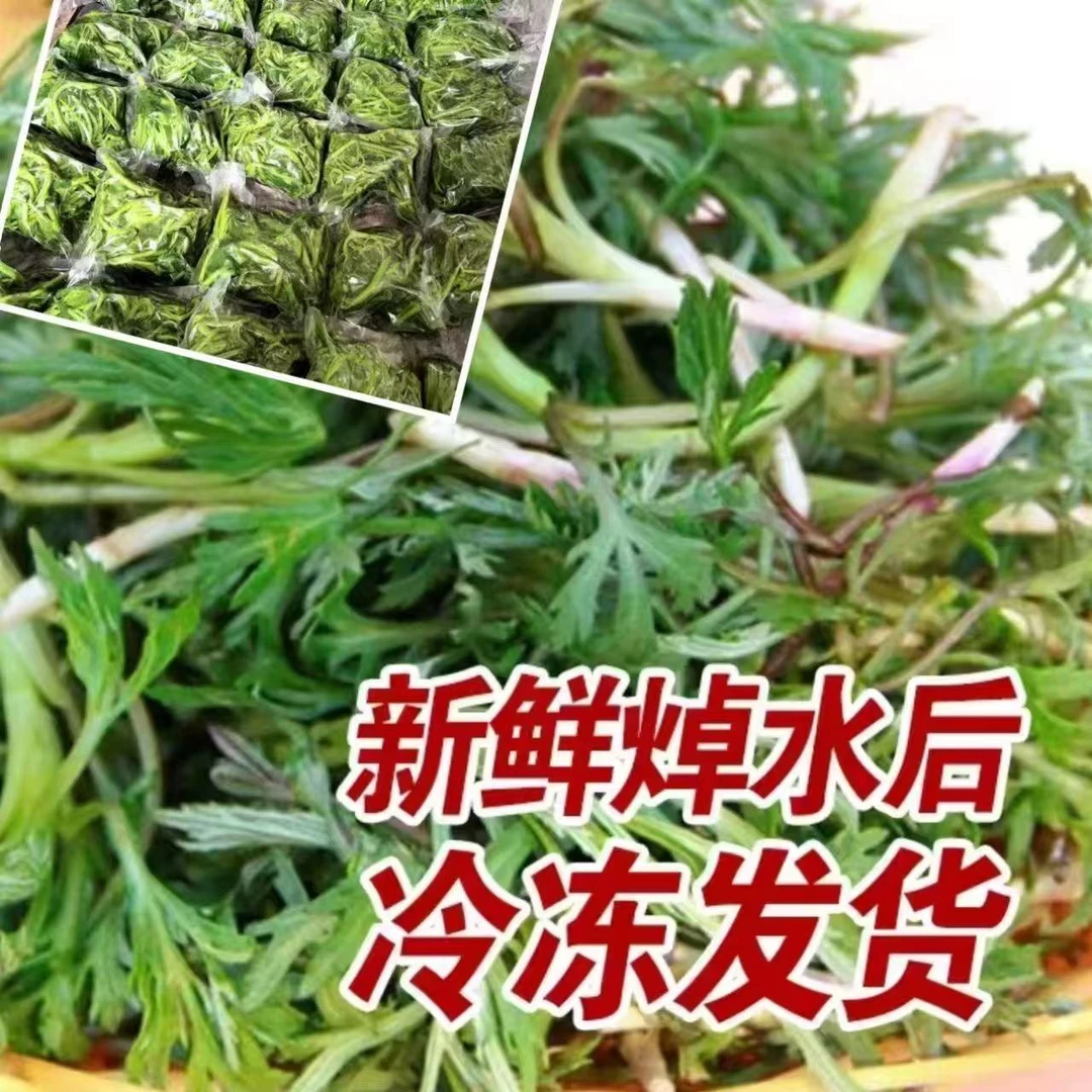 野生柳蒿杆焯水冷冻锁鲜，保温箱发货天然野生山野菜