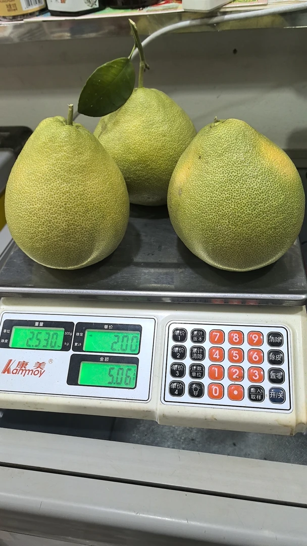 福建仙游度尾正宗红心文旦柚柚子新鲜采摘多汁酸甜孕妇红文旦柚子