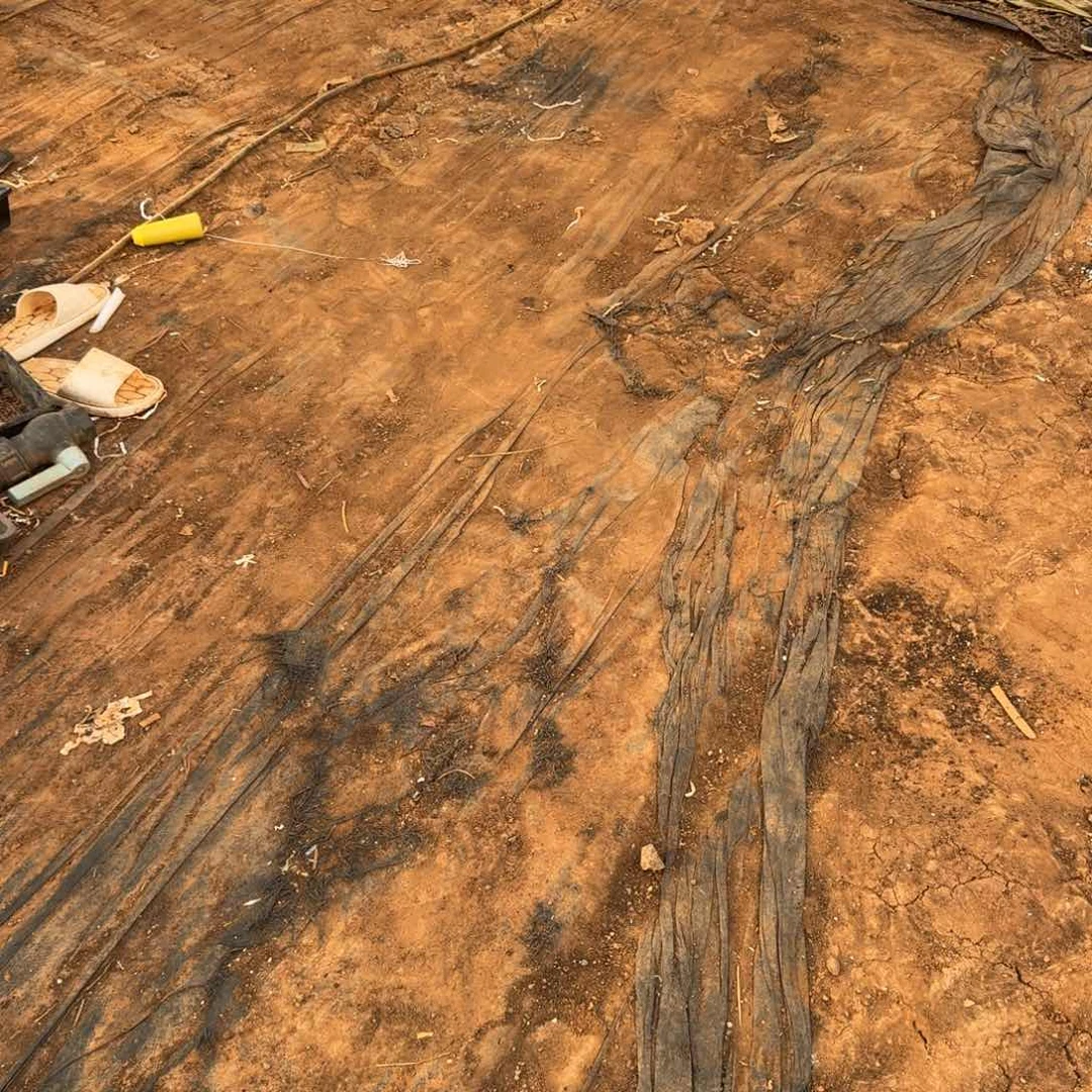 5-69糖心麦秆混喝五颗量拍