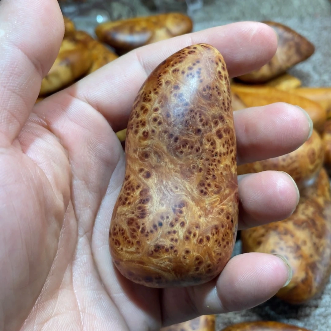 柏木（崖柏）其他把