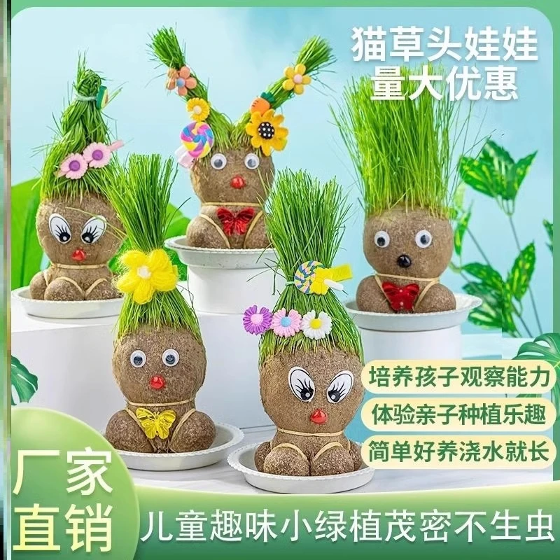 小盆栽草娃娃幼儿园创意绿植桌面迷你儿童植物水培办公桌