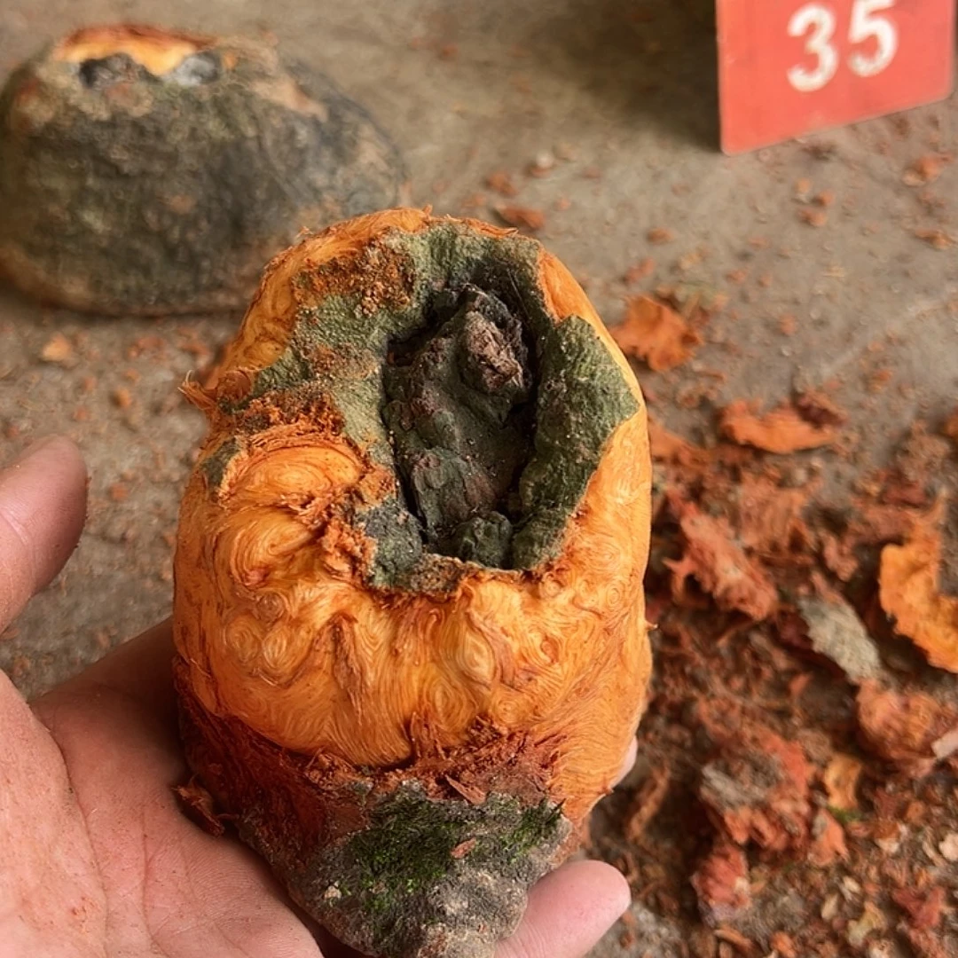 小***解荔枝木荔枝木毛料挖工费20
