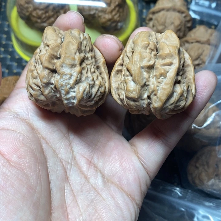 文玩核桃把件蛤蟆有修41