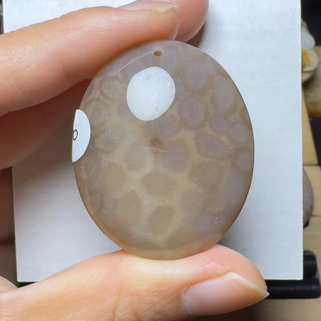 硅化玉冰透奶茶色椭圆未镶嵌