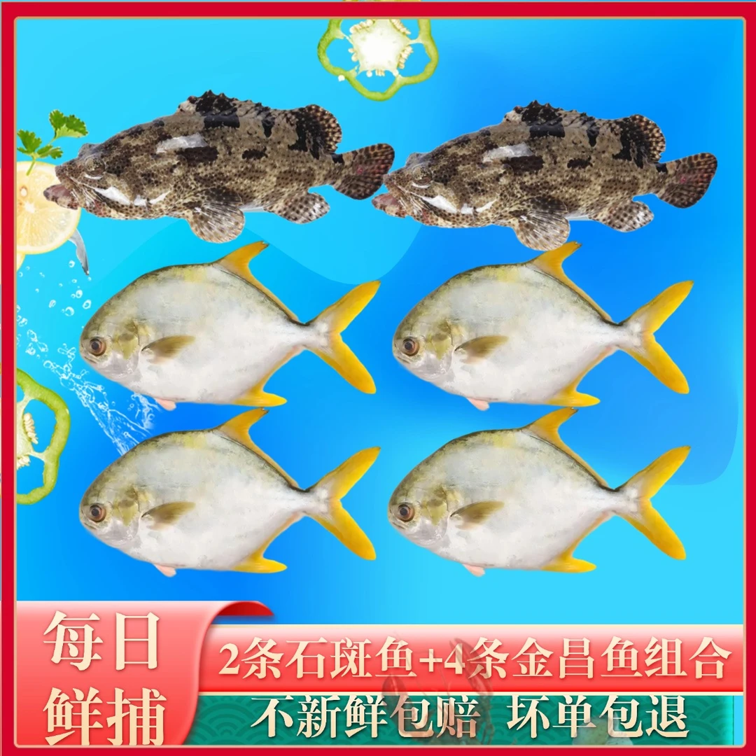 【618套餐】珍珠龙胆石斑鱼*2+金鲳鱼*4海鲜深海鱼生鲜水产共4.5斤