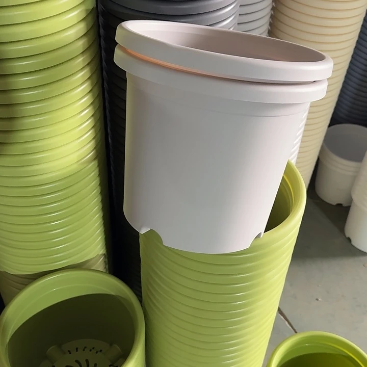 四季5#口径29灰白10个无托