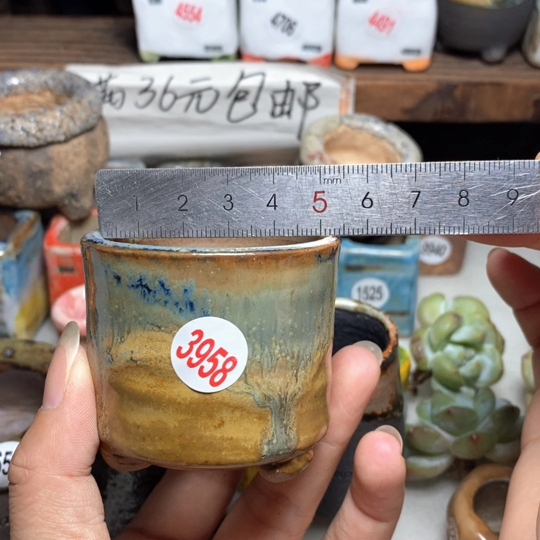 拍3送一个小礼物