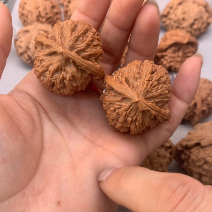 尹***新文玩核桃把件白狮子