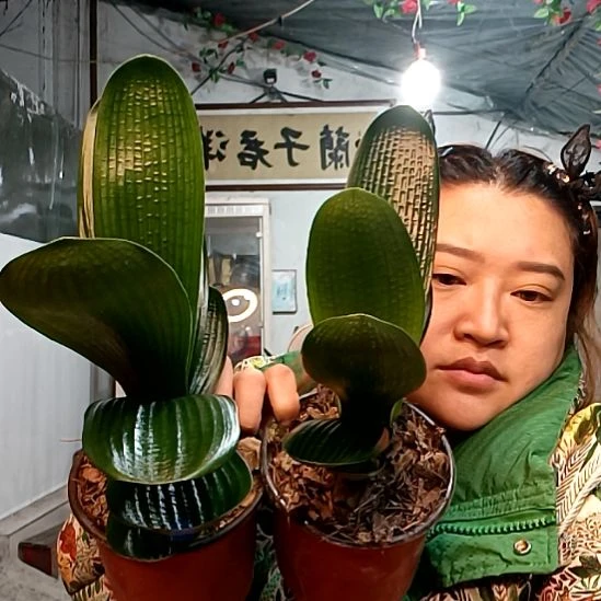 云***雨@云之上雨福利花两个39