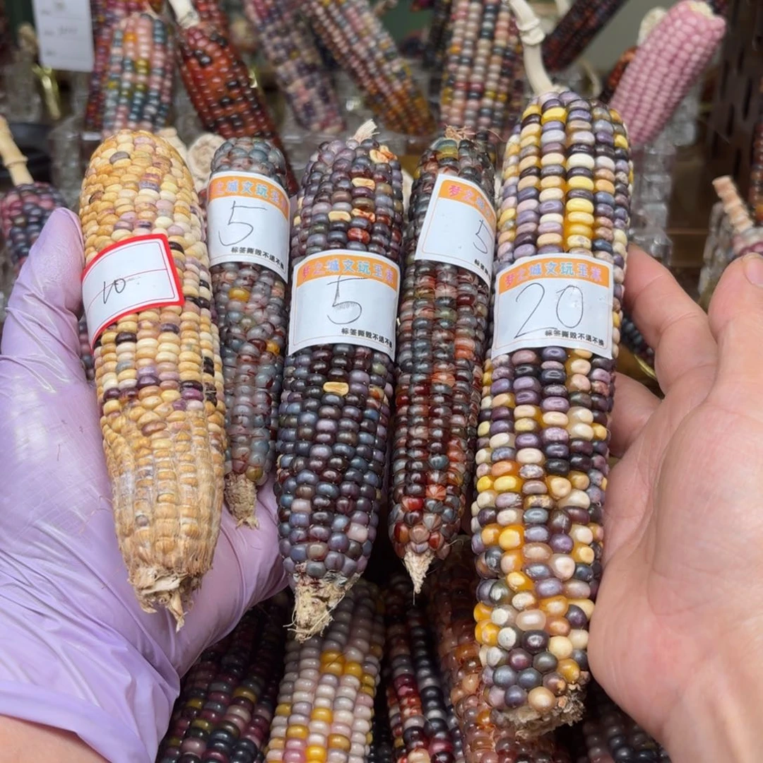 柏香籽/百香籽吊坠一*。