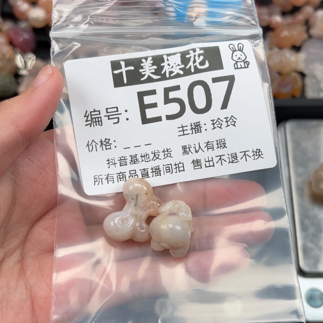 玛瑙/玉髓颈饰未镶嵌钱****人