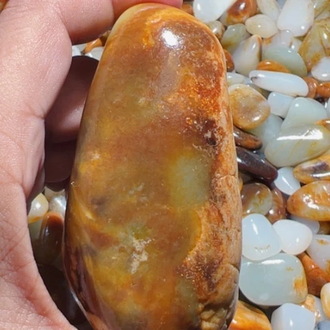 和田玉（糖玉）手链未镶嵌10