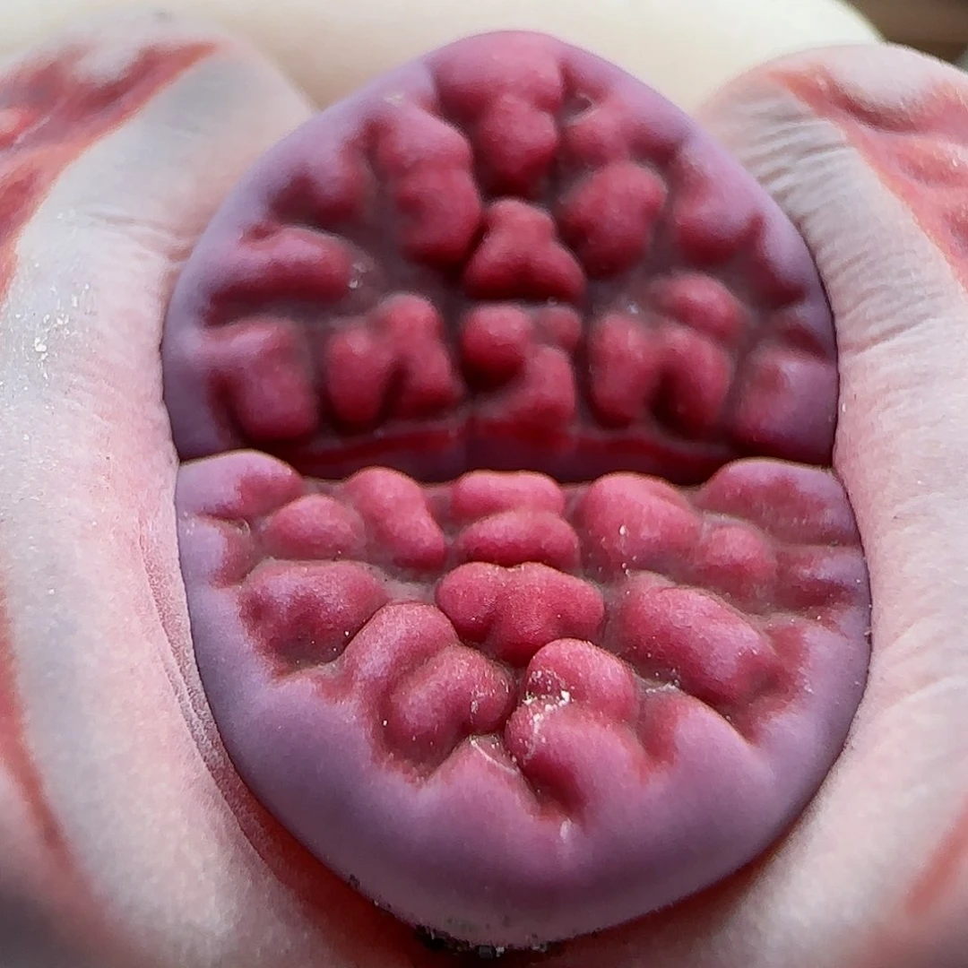 901阿克玫瑰福利