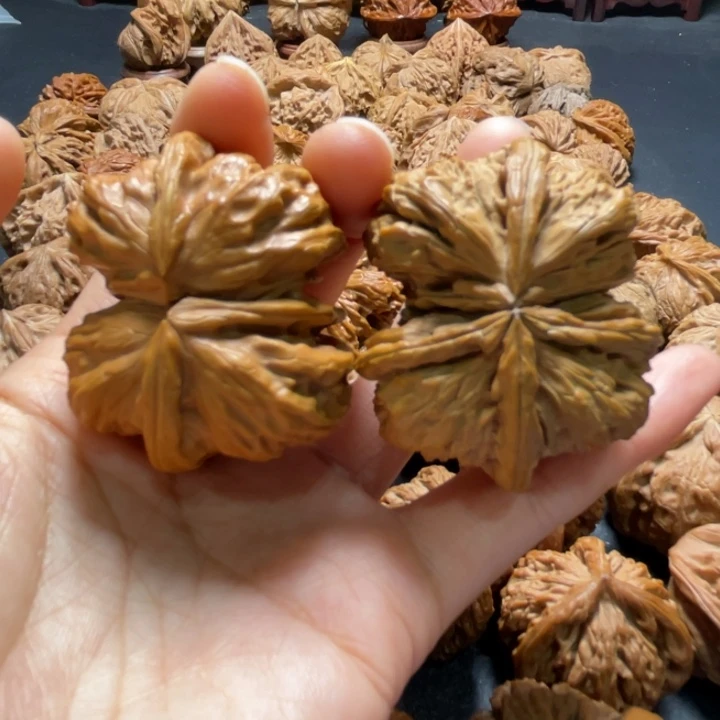 白狮子连体45尺寸核桃哈哈哈哈哈哈哈