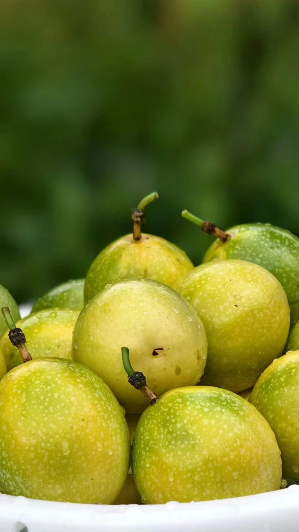 钦蜜九号黄金百香果新鲜现摘香甜多汁当季水果包邮