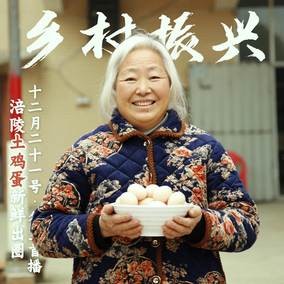 高山散养鸡土鸡蛋正宗粮食喂养跑山鸡蛋孕妇月子鸡蛋