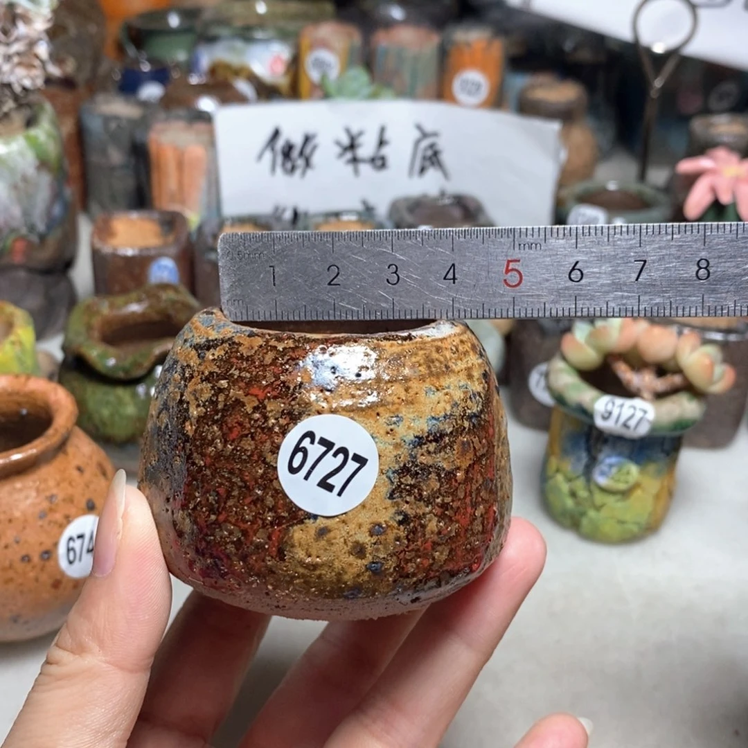 拍5送一个小礼物
