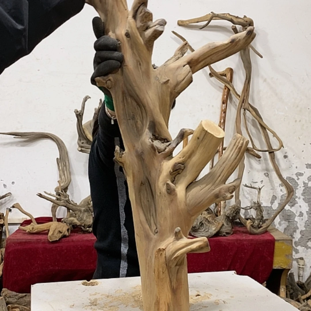 【闪购商品】柏木上****啦我们都是好孩子