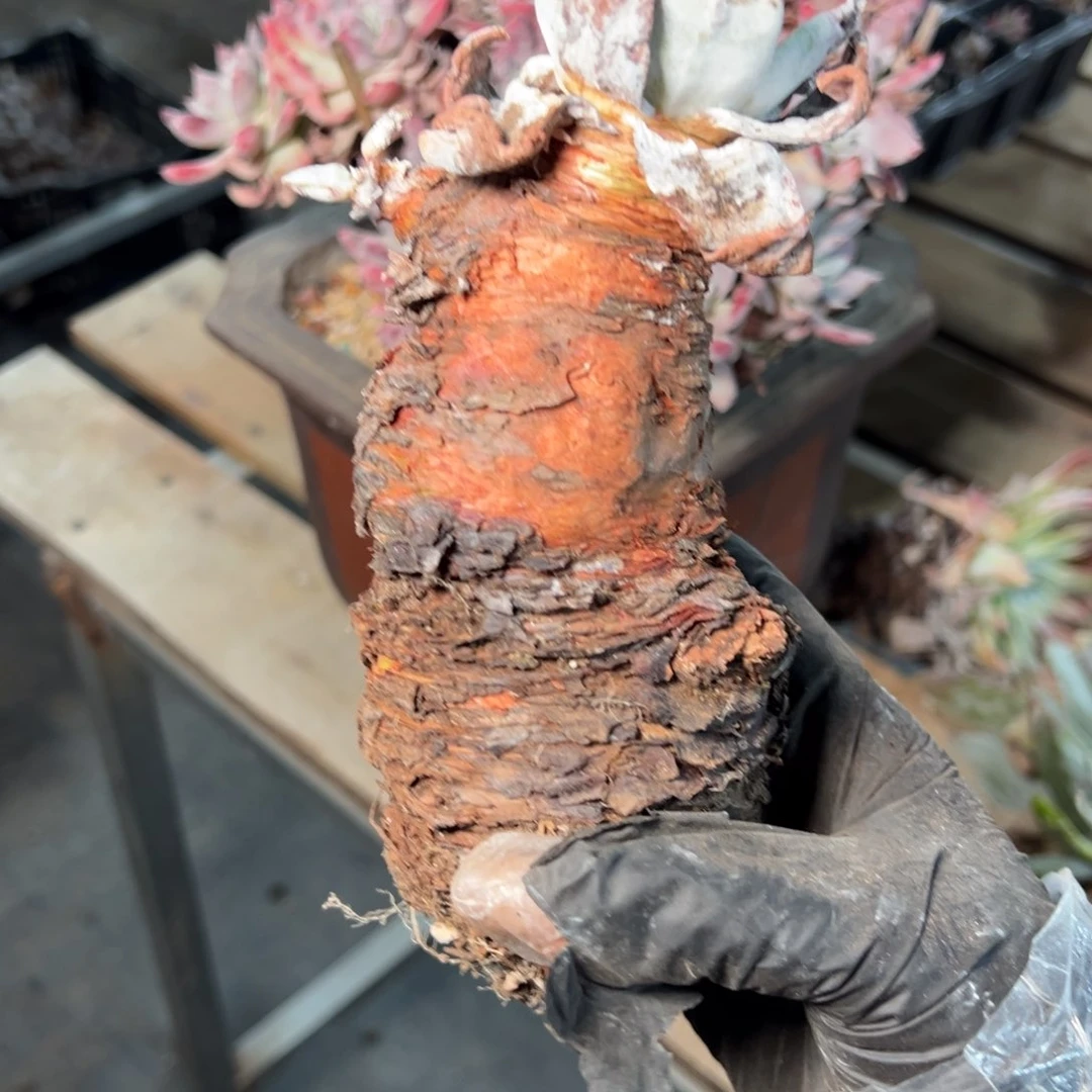 9122哈哈哈哈哈哈哈