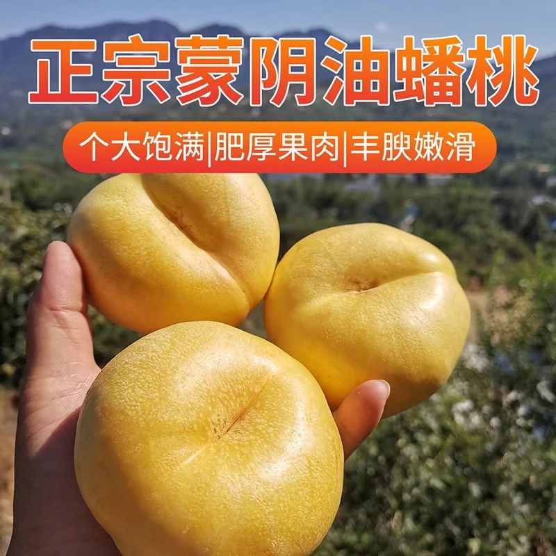 蒙阴黄油蟠桃新鲜水果彩虹黄油蟠桃黄油盘桃脆甜爆汁整箱包邮