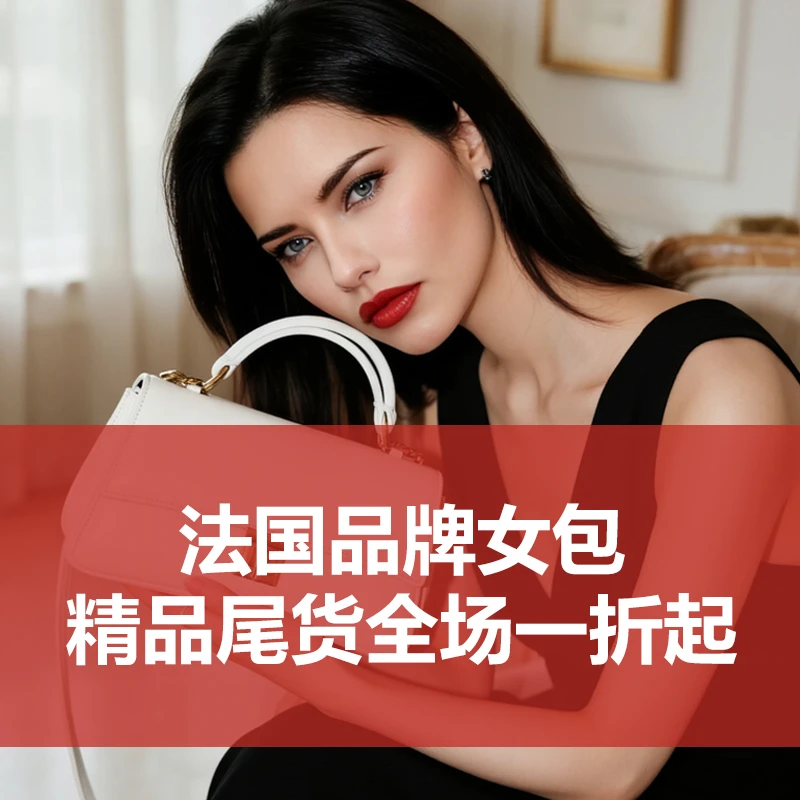 皮尔卡丹轻奢百搭法式设计师款时尚女包 (10号）