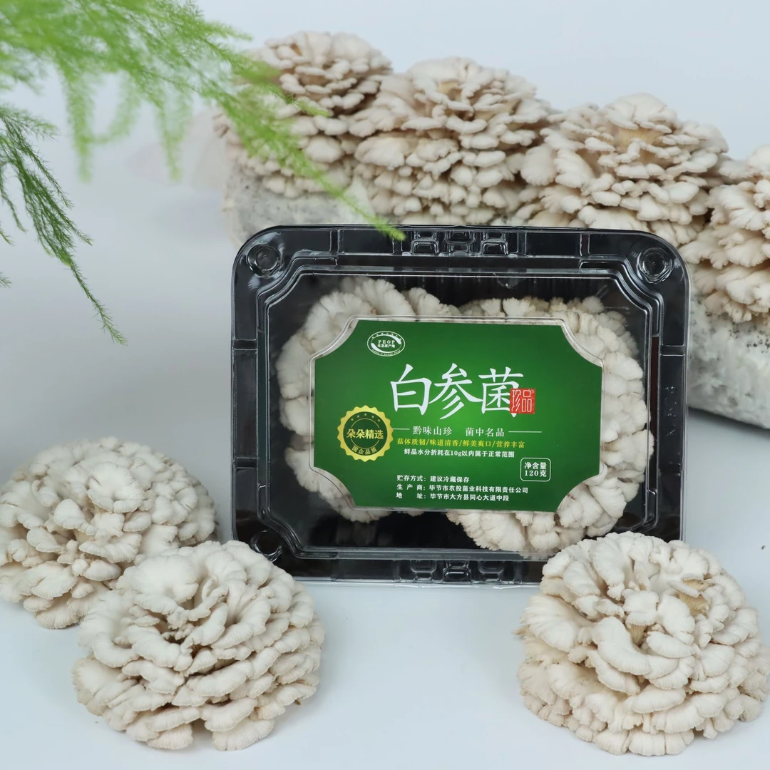 参说菇【顺丰包邮】精选新鲜白参菌现摘现发裂褶菌绿色食品120g/盒