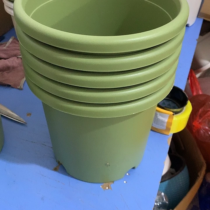 @*四季口25高21果绿5个瑕疵