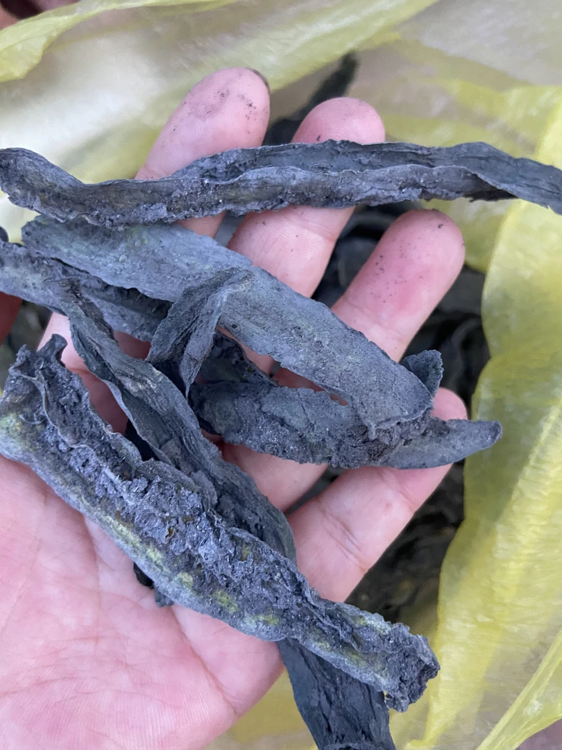东北正宗农村老式草木灰黄瓜钱(百家菜介意勿拍)