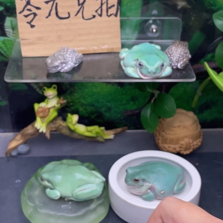 l***.老爷树蛙3号邮费……