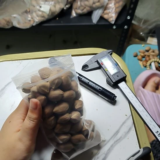 基***睿吊坠橄榄核小籽一包