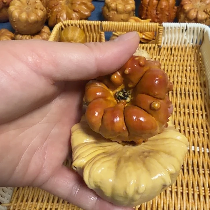 虎***哥墨西哥七彩疙瘩葫芦瑕疵不退货