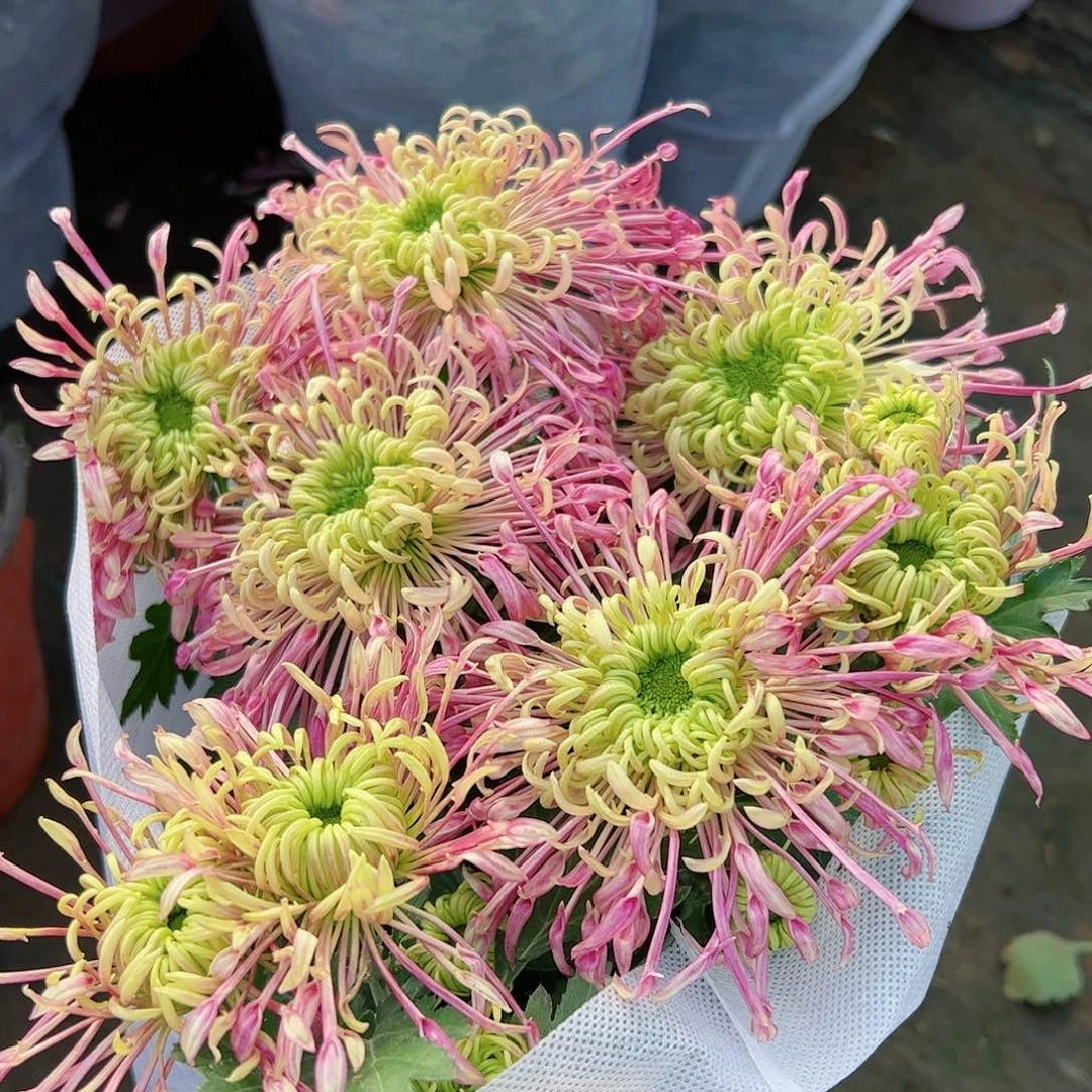 完全开放山海古今