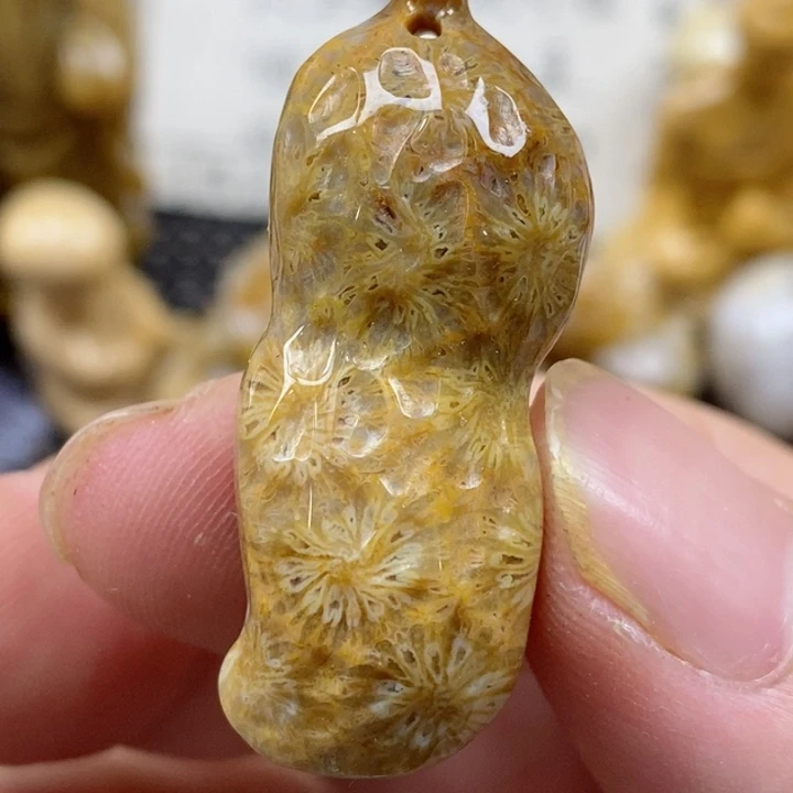 颈饰未镶嵌硅化珊瑚（珊瑚玉）