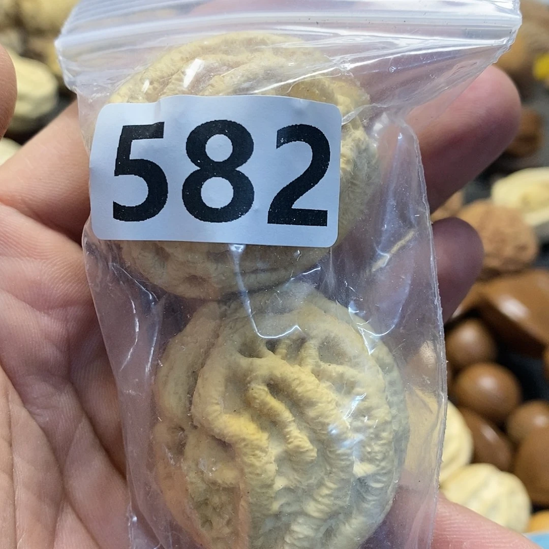 橄榄核吊坠邪****?文化交流