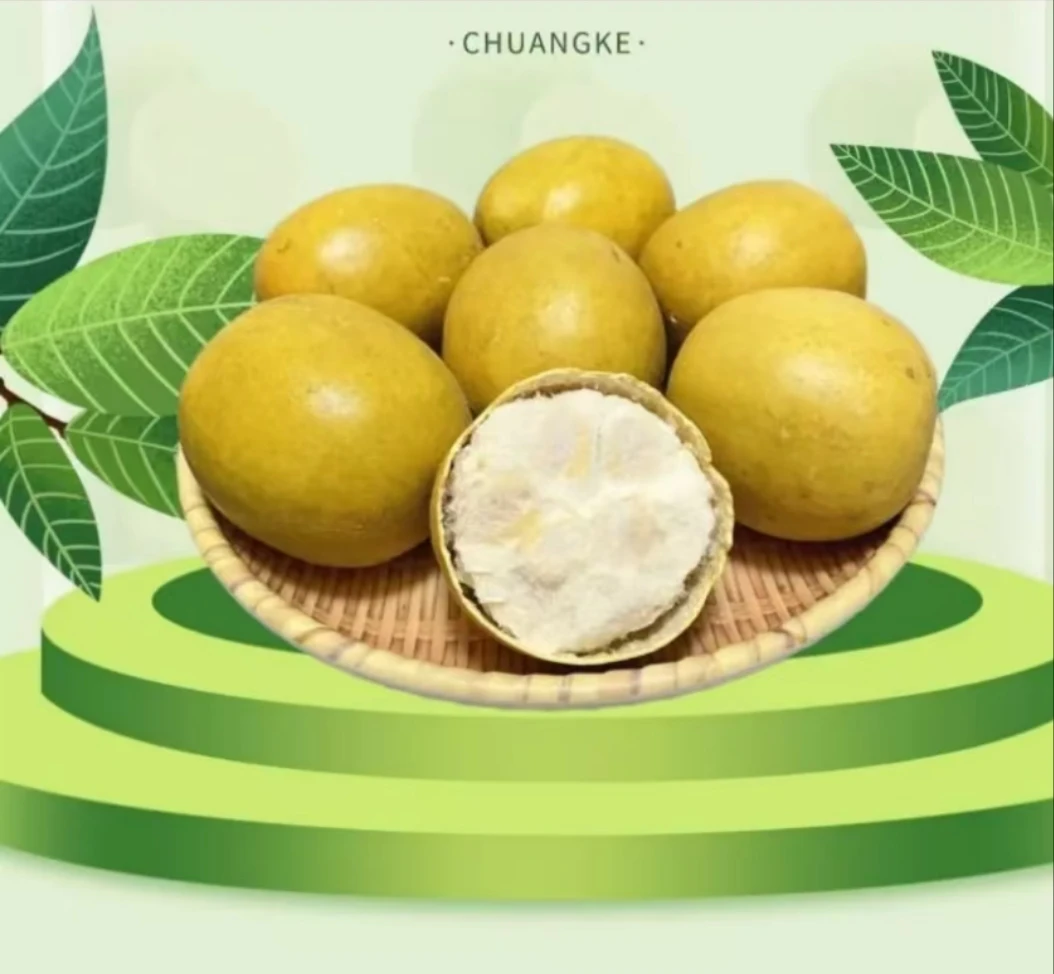 广西黄金罗汉果鲜果大果低温脱水独立包装2025当季新果