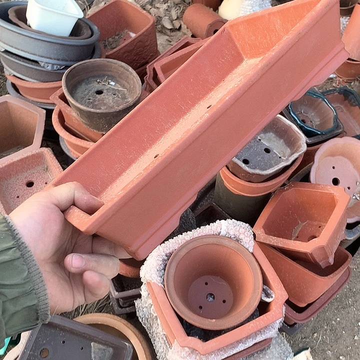 紫砂你也早点睡觉啦