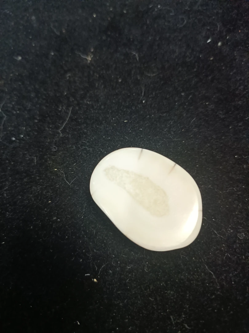 猛犸猛犸虬饼子WW541