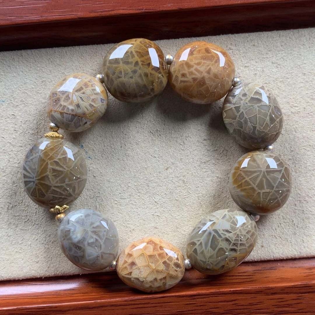 未镶嵌双十一85折漏204/条。01硅化珊瑚（珊瑚玉）