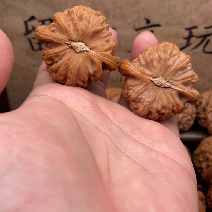 风***华文玩核桃把件42白狮子微修