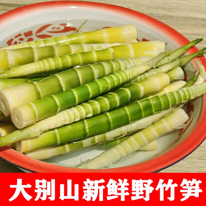 大别山农家特产新鲜野竹笋子2斤