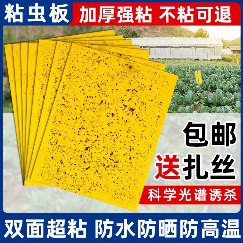 双面粘虫板大号诱虫板沾果蝇大棚菜地防虫贴果树针锋小飞虫捕捉器